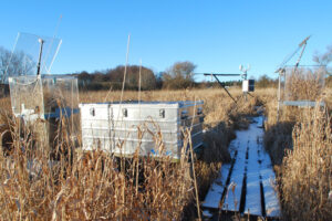 In einem Moor sind verschiedene Messinstrumente augebaut.