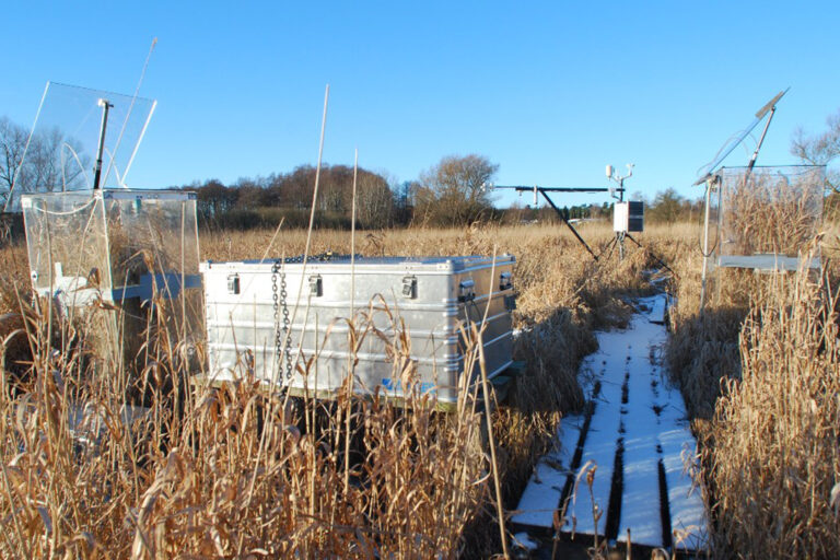 In einem Moor sind verschiedene Messinstrumente augebaut.