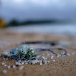 Mikroplastik am Strand