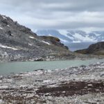 Rund tausend Jahre lagen diese Moose unter Eis. Durch die Erwärmung werden sie auf der Antarktis nun wieder sichtbar.