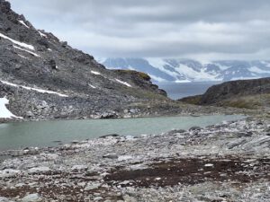 Rund tausend Jahre lagen diese Moose unter Eis. Durch die Erwärmung werden sie auf der Antarktis nun wieder sichtbar.