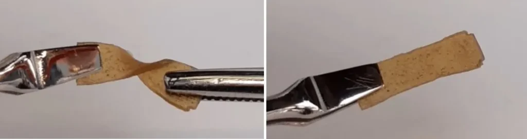 Ein Stück Compleximer lässt sich von Hand biegen, ohne zu brechen. © WUR