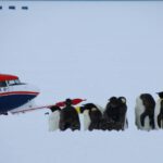 Die Flugkampagne SANAT untersuchte Ursprung und Transport von Aerosolen in der antarktischen Atmosphäre, an denen sich Wolken bilden – erstmals auch weit im Landesinneren.
