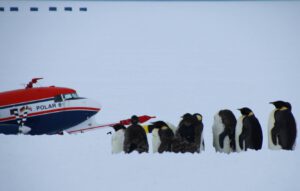 Die Flugkampagne SANAT untersuchte Ursprung und Transport von Aerosolen in der antarktischen Atmosphäre, an denen sich Wolken bilden – erstmals auch weit im Landesinneren.