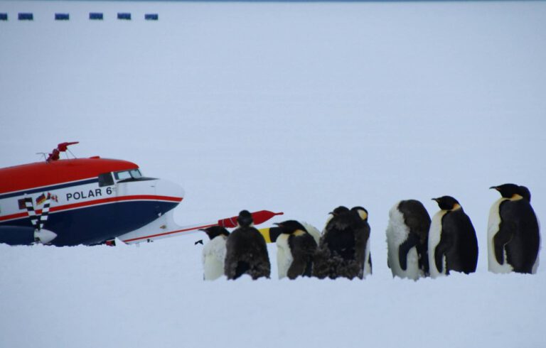 Die Flugkampagne SANAT untersuchte Ursprung und Transport von Aerosolen in der antarktischen Atmosphäre, an denen sich Wolken bilden – erstmals auch weit im Landesinneren.
