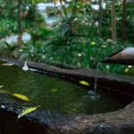Sauberes Trinkwasser entsteht nicht im Wasserwerk: Mikroorganismen an Gestein stabilisieren das Grundwasser tief unter der Erde.