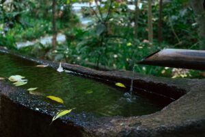 Sauberes Trinkwasser entsteht nicht im Wasserwerk: Mikroorganismen an Gestein stabilisieren das Grundwasser tief unter der Erde.