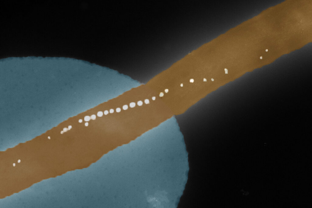 Elektronenmikroskopische Aufnahme eines Bakteriums.