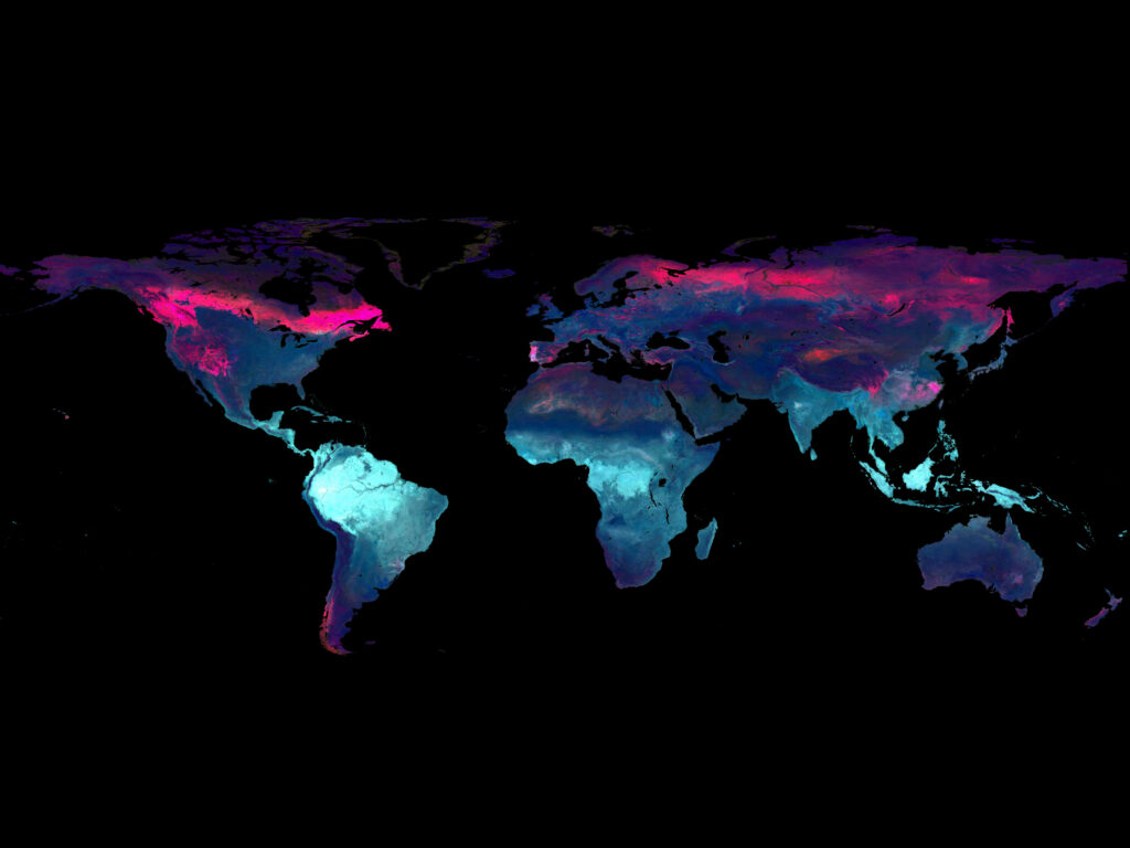 Ein digitales Bild der Erde, eingefärbt in verschiedenen Farben.