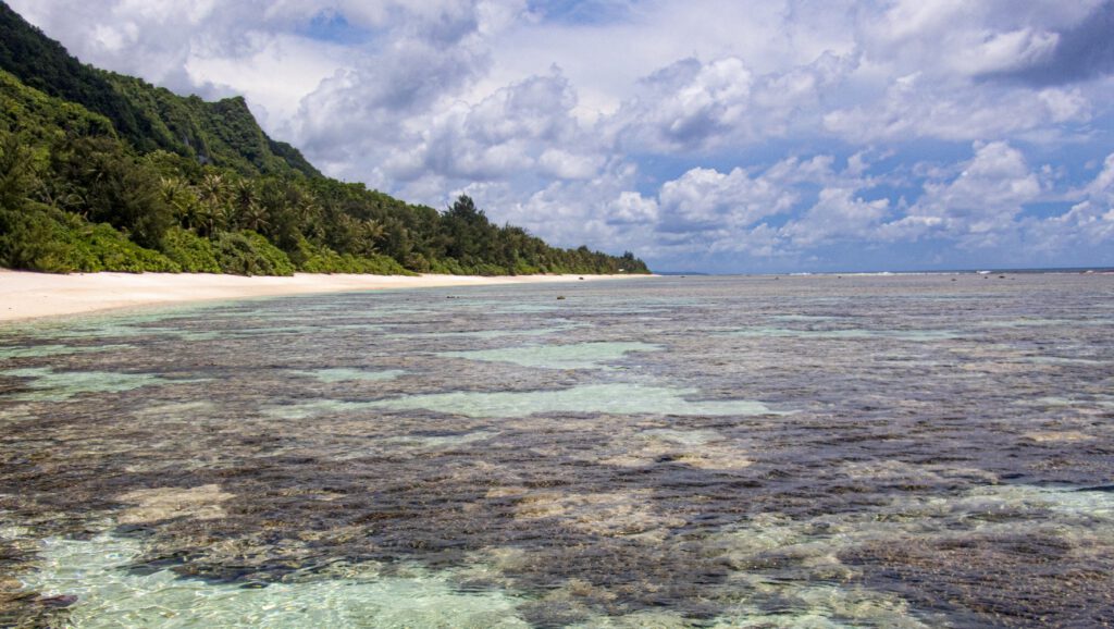 Flache Korallenriffe vor der Küste von Urunao auf Guam: Neben dem Klimawandel gefährden auch Baggerarbeiten, Küstenausbau und Sedimente aus Bauprojekten die empfindlichen Strukturen. ©2026 Colin Anthony CC-BY-ND