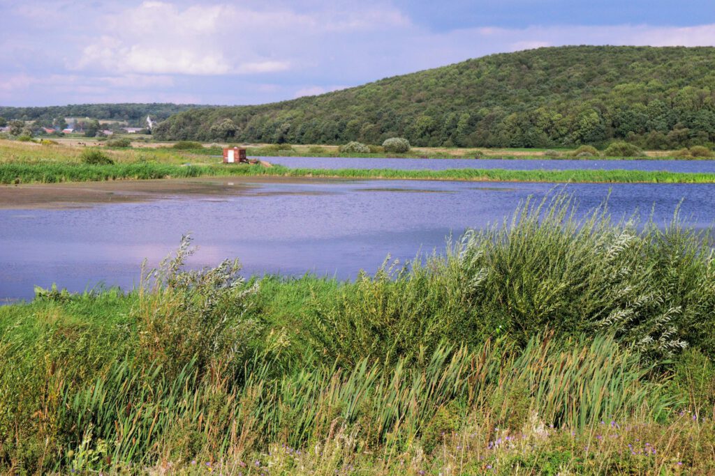 Blick auf eine Moorlandschaft