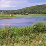 Blick auf eine Moorlandschaft