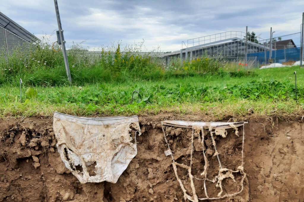 Je stärker das Bodenleben arbeitet, desto weniger bleibt von der Baumwoll-Unterhose übrig. © Gabriela Brändle, Agroscope