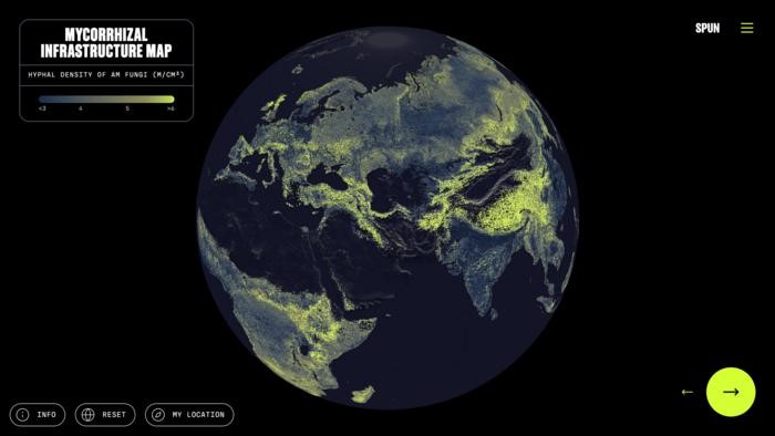 Die globale Karte zeigt, wo arbuskuläre Mykorrhizapilze besonders dichte Fadennetzwerke im Boden bilden. © Truth & Beauty / Moritz Stefaner Justin Stewart - SPUN