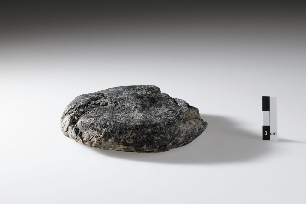 Ein seltener Blick in den römischen Alltag: Das verkohlte Brot blieb fast 2000 Jahre erhalten. © Kanton Aargau