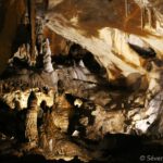 In der Höhle von Isturitz fanden Archäologen den rund 30.000 Jahre alten Knochen einer Frau. Ihre DNA liefert Hinweise auf genetische Verbindungen zwischen Eiszeitmenschen aus Ost- und Westeuropa. © Severine Dabadie