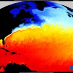 Neue Studie warnt: AMOC-Kollaps könnte Nordsee um einen halben Meter anheben