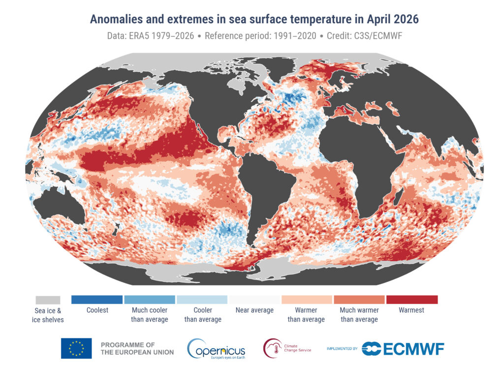 Die Karte zeigt Abweichungen und Extremwerte der Meeresoberflächentemperatur im April 2026. Die Farben ordnen die Werte im Vergleich zum Zeitraum 1991 bis 2020 ein, eisbedeckte Meeresflächen erscheinen hellgrau. 