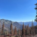 Nach dem Feuer bleibt ein Wald oft noch lange verwundbar: Verkohlte Stämme und abgestorbene Vegetation prägen ganze Hänge – umso wichtiger ist es, neue Brandherde möglichst früh zu entdecken.