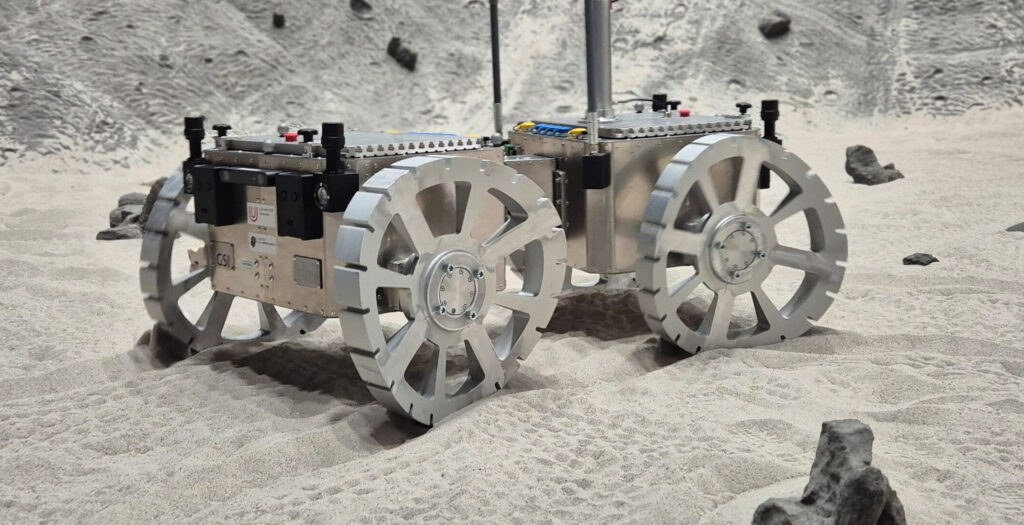 Forscher aus Würzburg entwickeln einen Marsrover nach Vorbild einer Sahara-Eidechse, die sich schwimmend durch Sand bewegt.