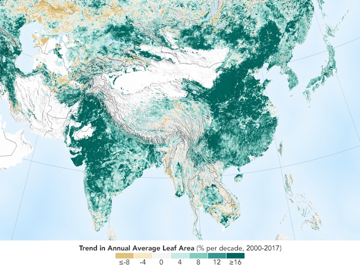 China und Indien werden sichtbar grüner: Gemeinsam tragen die beiden bevölkerungsreichsten Länder erheblich zum weltweiten Zuwachs der Blattfläche bei – und beeinflussen damit auch den Austausch von Wasser und Energie mit der Atmosphäre. © NASA Earth Observatory / Joshua Stevens; Daten: Chen et al. (2019), Nature Sustainability 2, 122–129.