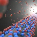 Aktivkohlefaser mit benachbarten Aminogruppen: Diese gezielte Anordnung verbessert die Bindung und Freisetzung von CO₂, sodass das Gas schon bei niedrigeren Temperaturen wieder abgegeben werden kann. Illustration: Prof. Yasuhiro Yamada, Chiba University, Japan, erstellt mit Gemini Pro.