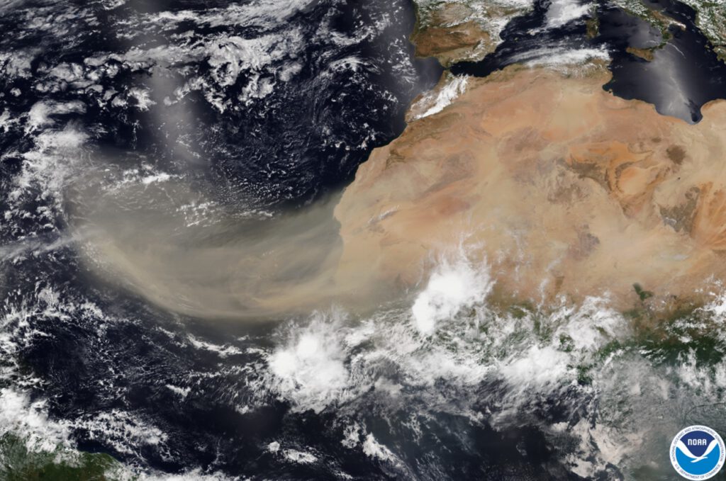 Eine gewaltige Staubwolke aus der Sahara zieht über den Atlantik Richtung Südamerika. Der feine Wüstenstaub bringt Phosphor in den Amazonas – einen wichtigen Nährstoff für den Regenwald.
