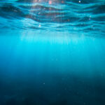 Unterwasserbild