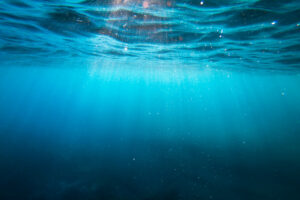 Unterwasserbild