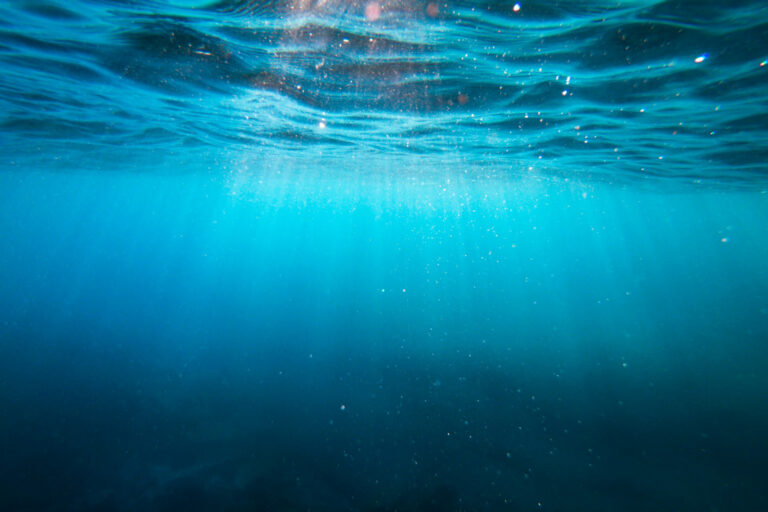 Unterwasserbild