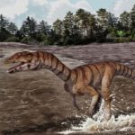 Ein Fossilfund verblüfft Forscher: Vor 212 Millionen Jahren lief ein Verwandter der Krokodile auf zwei Beinen und ohne Zähne.