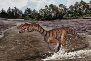Ein Fossilfund verblüfft Forscher: Vor 212 Millionen Jahren lief ein Verwandter der Krokodile auf zwei Beinen und ohne Zähne.