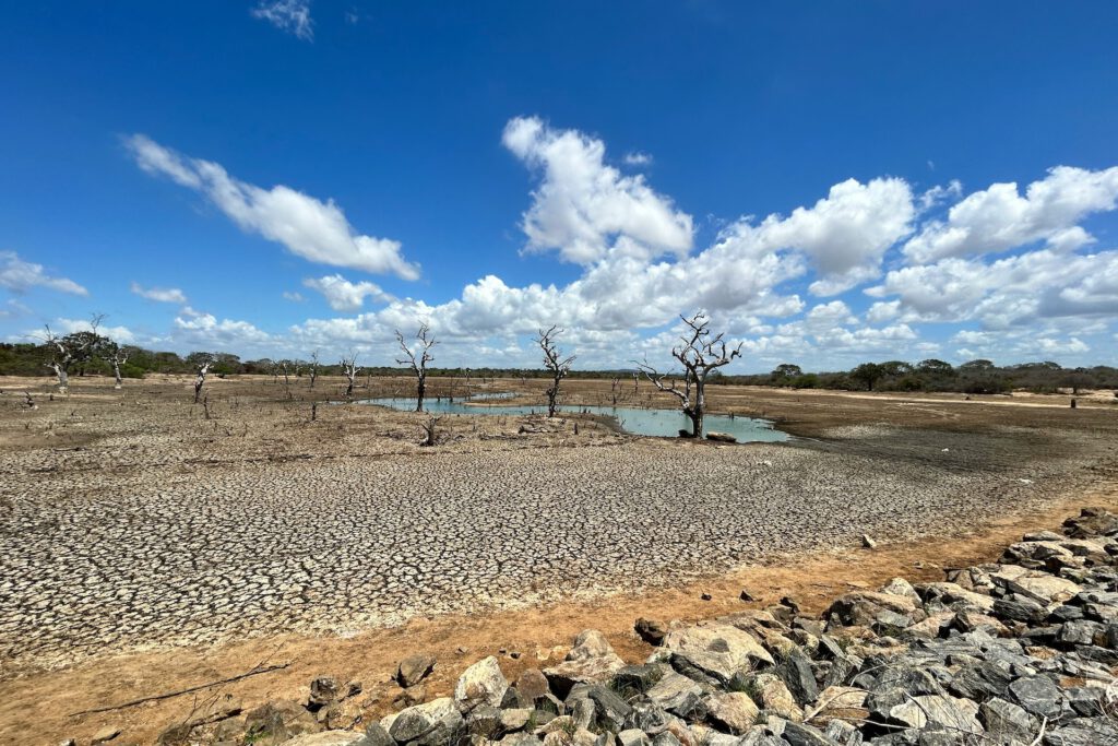 In trockenen Regionen wie Australien, Zentralasien und dem südlichen Afrika erholt sich Grundwasser nach Dürren oft besonders langsam. © Unsplash