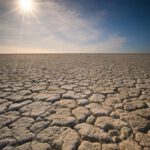 Bei der Dürre-Vorhersage gibt es laut Experten Fortschritte.