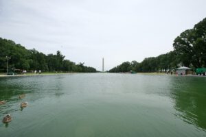 Der frisch renovierte Reflecting Pool kippte nach wenigen Tagen wieder um – Forscher kennen den Grund.