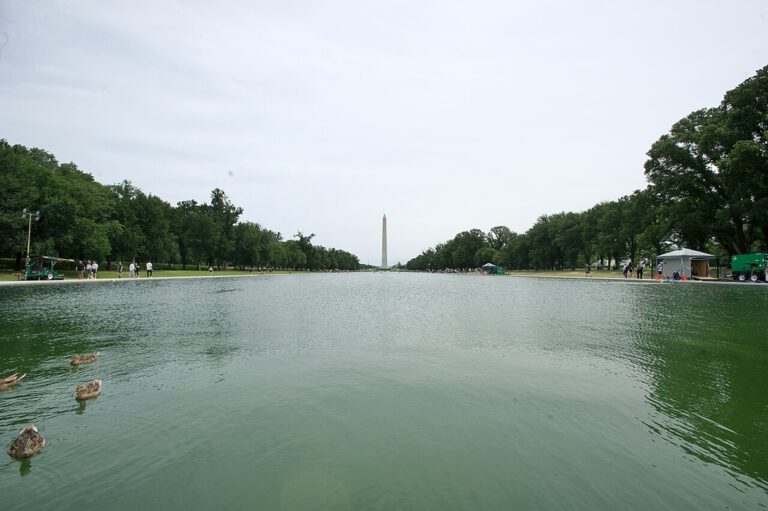 Der frisch renovierte Reflecting Pool kippte nach wenigen Tagen wieder um – Forscher kennen den Grund.