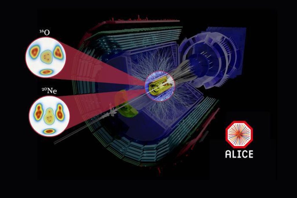 Bei Kollisionen mit Neon entstand ein längliches Teilchenmuster – ein Hinweis auf die ungewöhnliche Form des Atomkerns. © ALICE@CERN