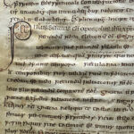 Forscher finden DNA einer 3700 Jahre alten Seuche – in mittelalterlichen Büchern