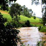 Ackerbau und Viehweide an einem Fluss in Kenia. Ein höherer Eintrag von Nährstoffen in Flüsse begünstigt weltweit die Anreicherung von Treibhausgasen. © Ricky Mwanake, KIT