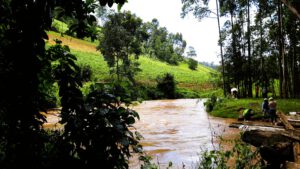 Ackerbau und Viehweide an einem Fluss in Kenia. Ein höherer Eintrag von Nährstoffen in Flüsse begünstigt weltweit die Anreicherung von Treibhausgasen. © Ricky Mwanake, KIT