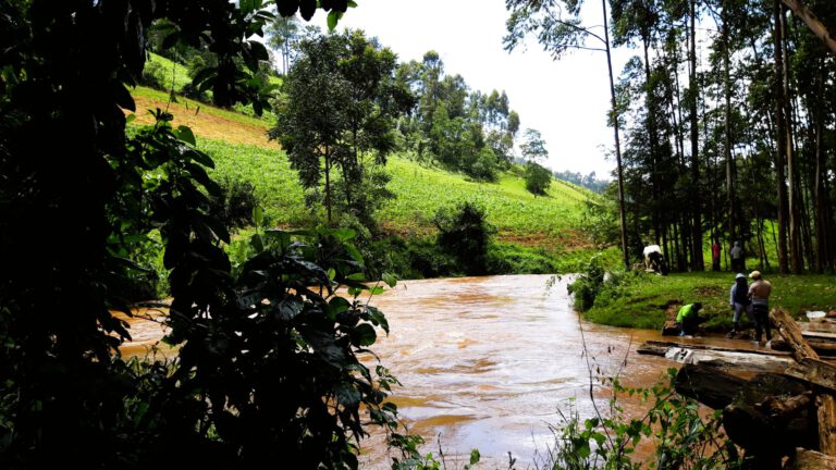 Ackerbau und Viehweide an einem Fluss in Kenia. Ein höherer Eintrag von Nährstoffen in Flüsse begünstigt weltweit die Anreicherung von Treibhausgasen. © Ricky Mwanake, KIT