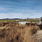 Mehr als 20 Prozent der Küsten zeigen sinkende Wasserstände – Versalzung wird für Trinkwasser zunehmend zum Risiko.