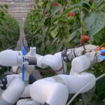Ein Gewächshausroboter soll menschliche Anweisungen verstehen, daraus lernen und Pflanzen künftig gezielt und selbstständig pflegen.