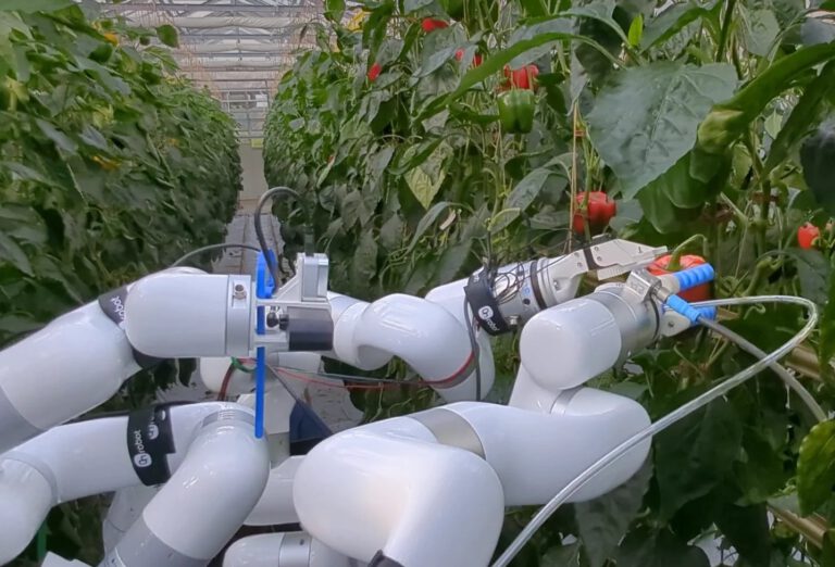 Ein Gewächshausroboter soll menschliche Anweisungen verstehen, daraus lernen und Pflanzen künftig gezielt und selbstständig pflegen.