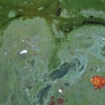 Forscher helfen Blaualgen auf die Sprünge: Grüner Wasserstoff rückt näher