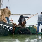 Algenfischer aus Plouguerneau bei der Arbeit: Seit Generationen holen die Goémoniers Braunalgen aus dem Meer – doch ihre Fanggründe schrumpfen.