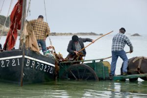 Algenfischer aus Plouguerneau bei der Arbeit: Seit Generationen holen die Goémoniers Braunalgen aus dem Meer – doch ihre Fanggründe schrumpfen.