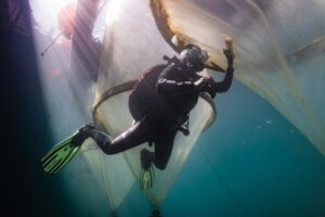Handarbeit gegen Biofouling: Taucherin Isabell Hentschel reinigt die Mesokosmen unter Wasser, damit der natürliche Lichteinfall erhalten bleibt. © Micha Sswat, GEOMAR