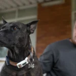 Paul und Rosie auf der Veranda