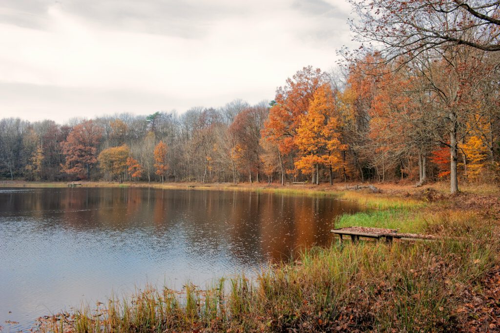 Warme Herbste verzögern das Zufrieren von Seen – und können das Wasser unter dem Eis im Winter sogar stärker abkühlen.